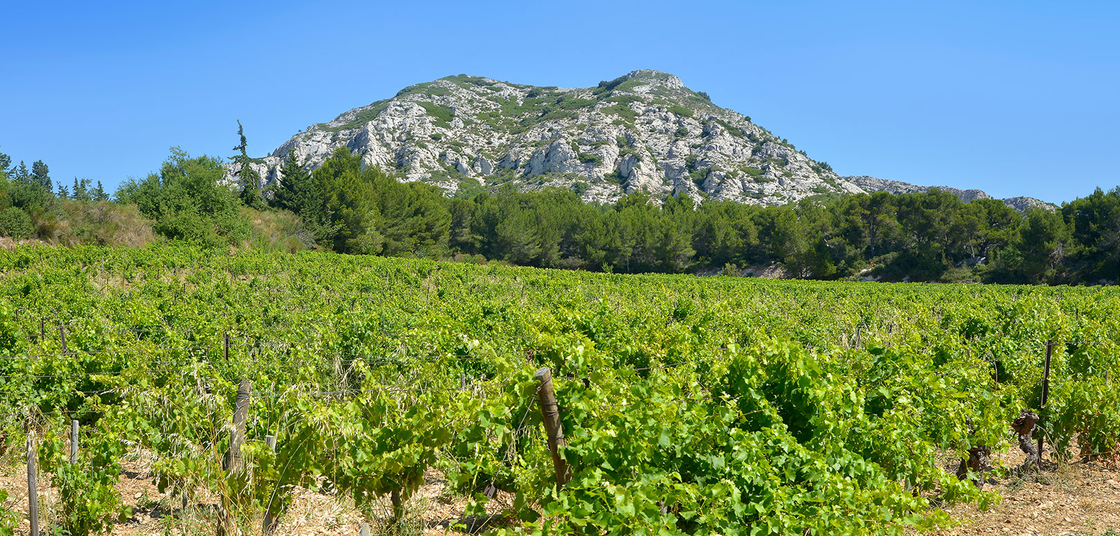 Ontdek de Provence